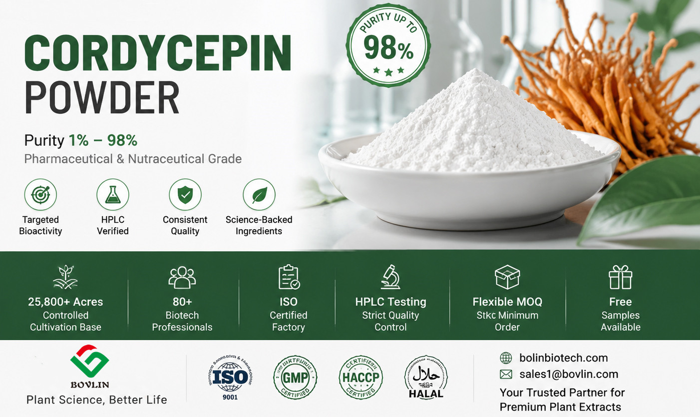 How to Choose a Reliable Cordycepin Powder Supplier?